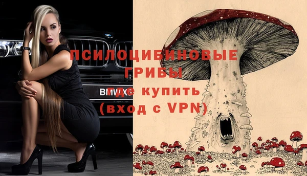 мет Абинск