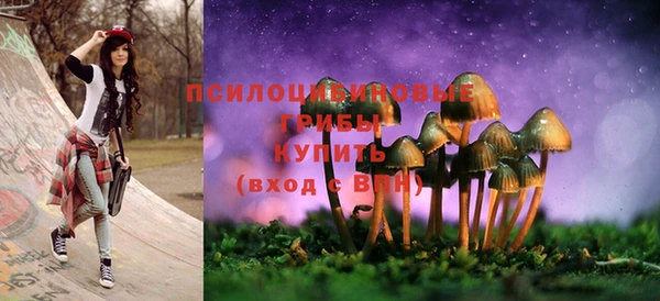 первитин Абаза