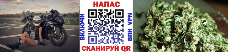Конопля LSD WEED Южа